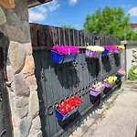 هيلز * سراييفو