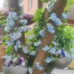 هيلز سراييفو