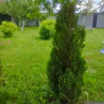 Hills Villa *