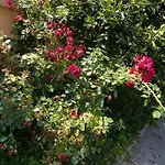 هيلز سراييفو