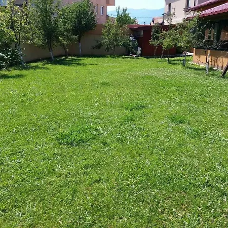 Hills * Sarajevo