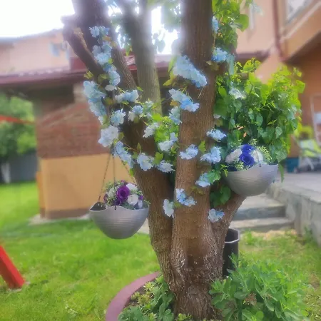 Hills Villa Sarajevo