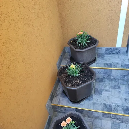 Villa Hills Sarajevo